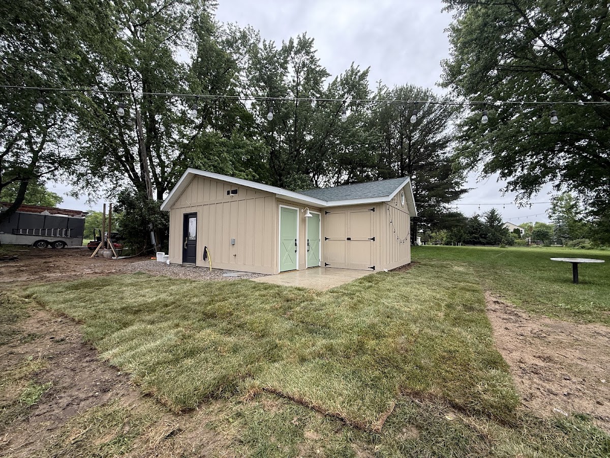 Fresh sod recently installed around a backyard shed