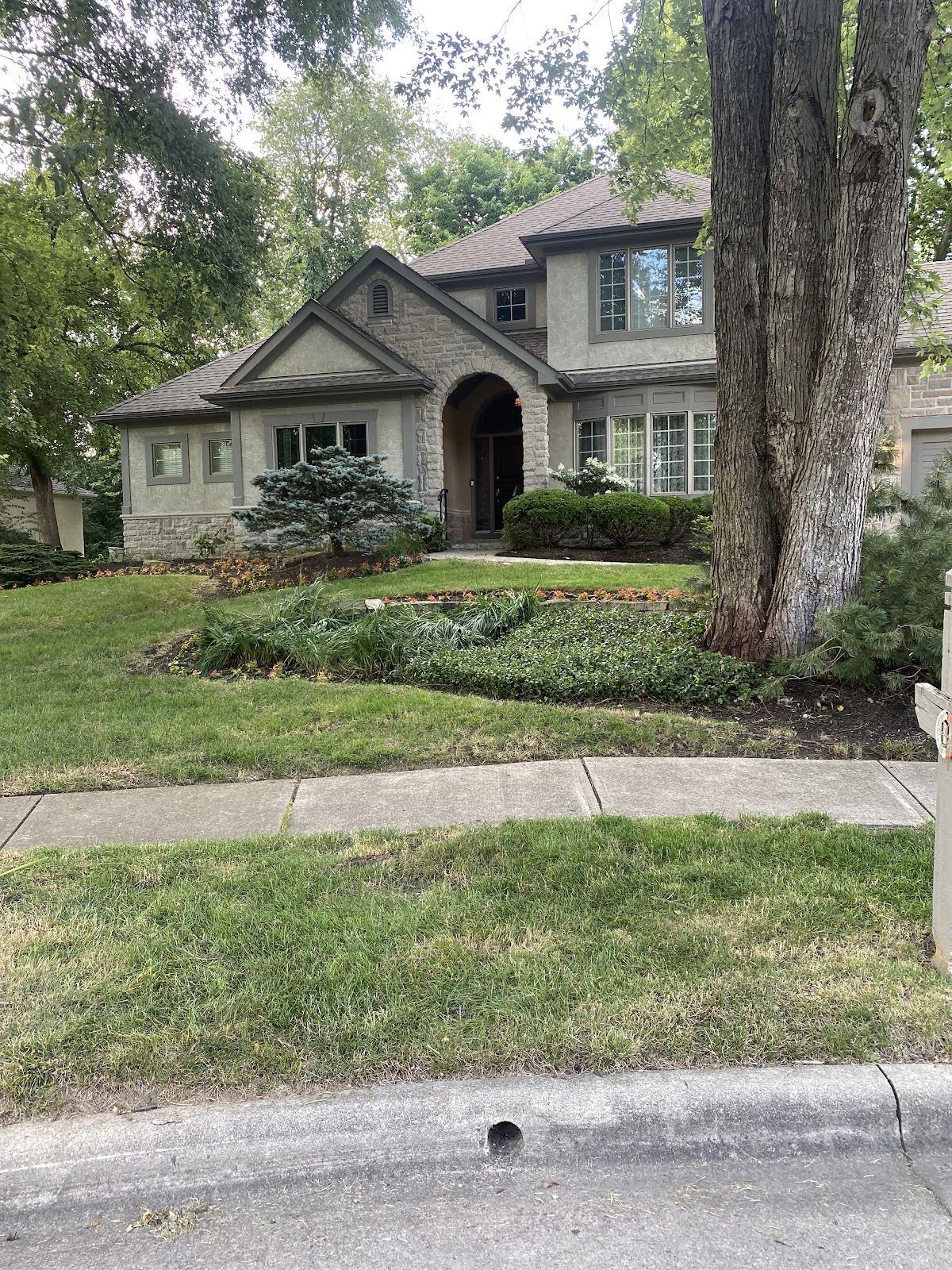 A well-maintained front lawn with landscaped garden beds